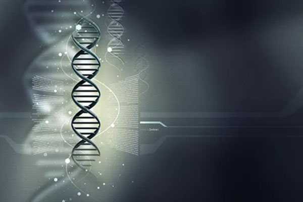 成之嘉亲子鉴定