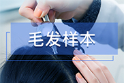 毛发样本采集方法