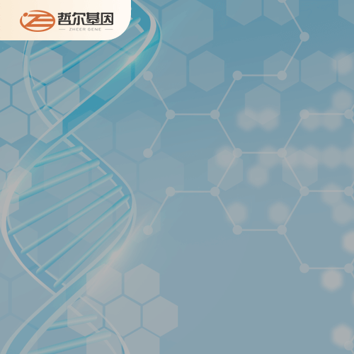 益阳个人亲子鉴定机构