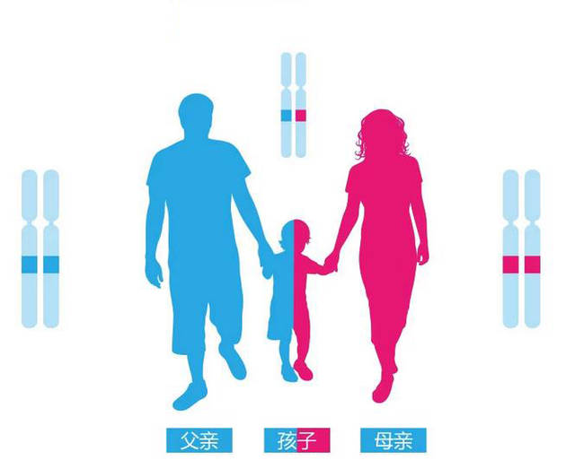 怀孕40天能做亲子鉴定吗？孕期做亲子鉴定费用更高吗？